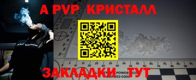 круглые Кингисепп