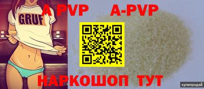 круглые Кингисепп