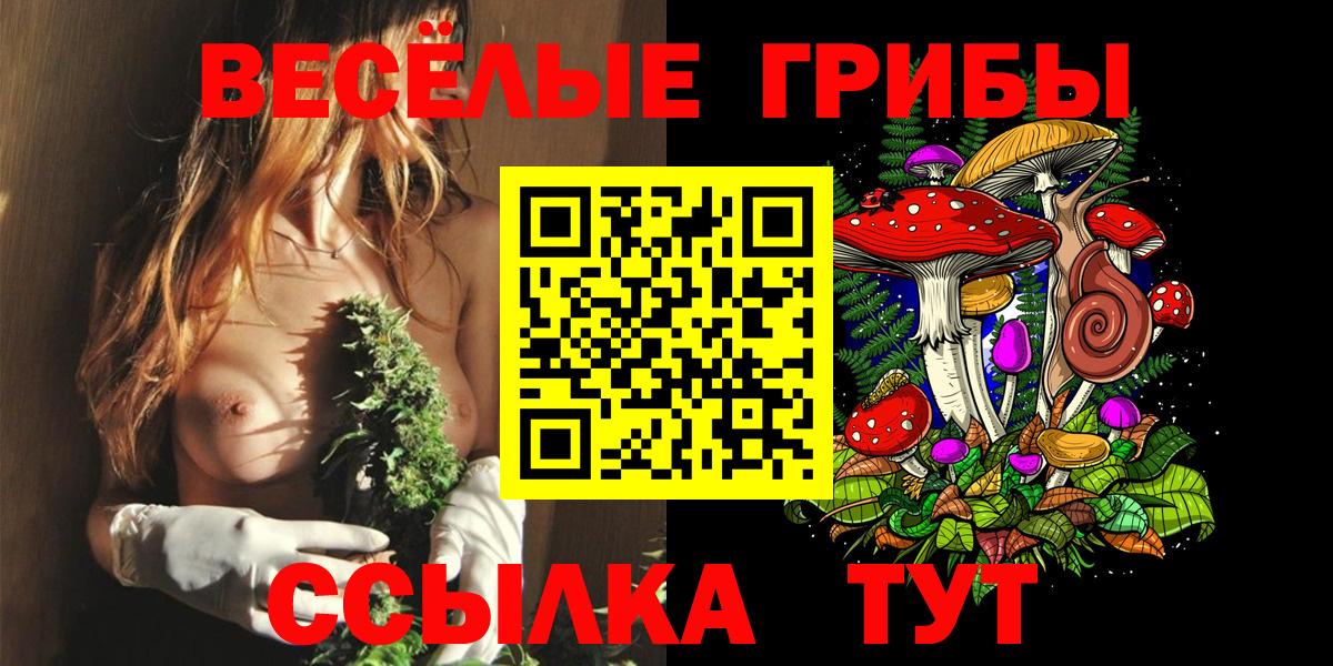 Псилоцибиновые грибы Psilocybe Котельники