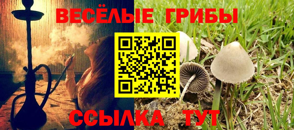 Котельники  Псилоцибиновые грибы Magic Shrooms  купить наркотик  Вход с VPN 